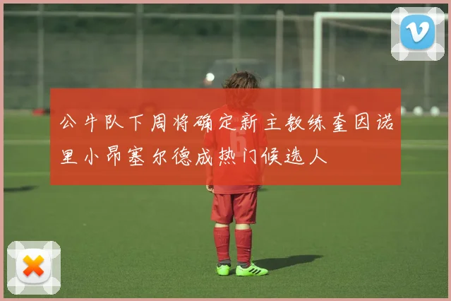 公牛队下周将确定新主教练奎因诺里小昂塞尔德成热门候选人
